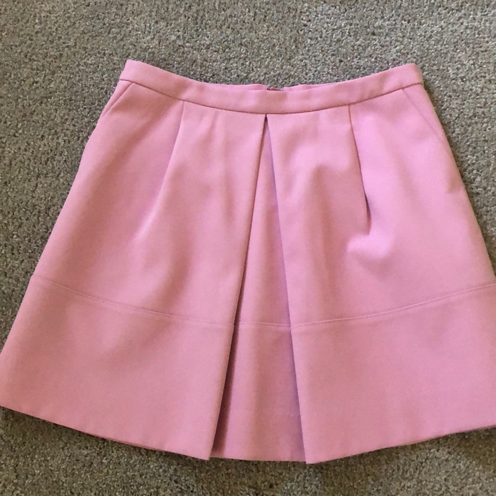J Crew Skirt